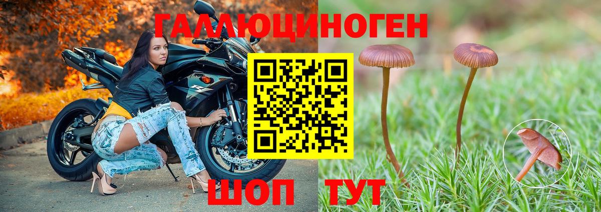 Галлюциногенные грибы Psilocybine cubensis  Псилоцибиновые грибы Psilocybe  Ярославль  Вход с VPN 